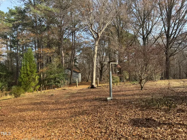 a backyard of apartments with large trees