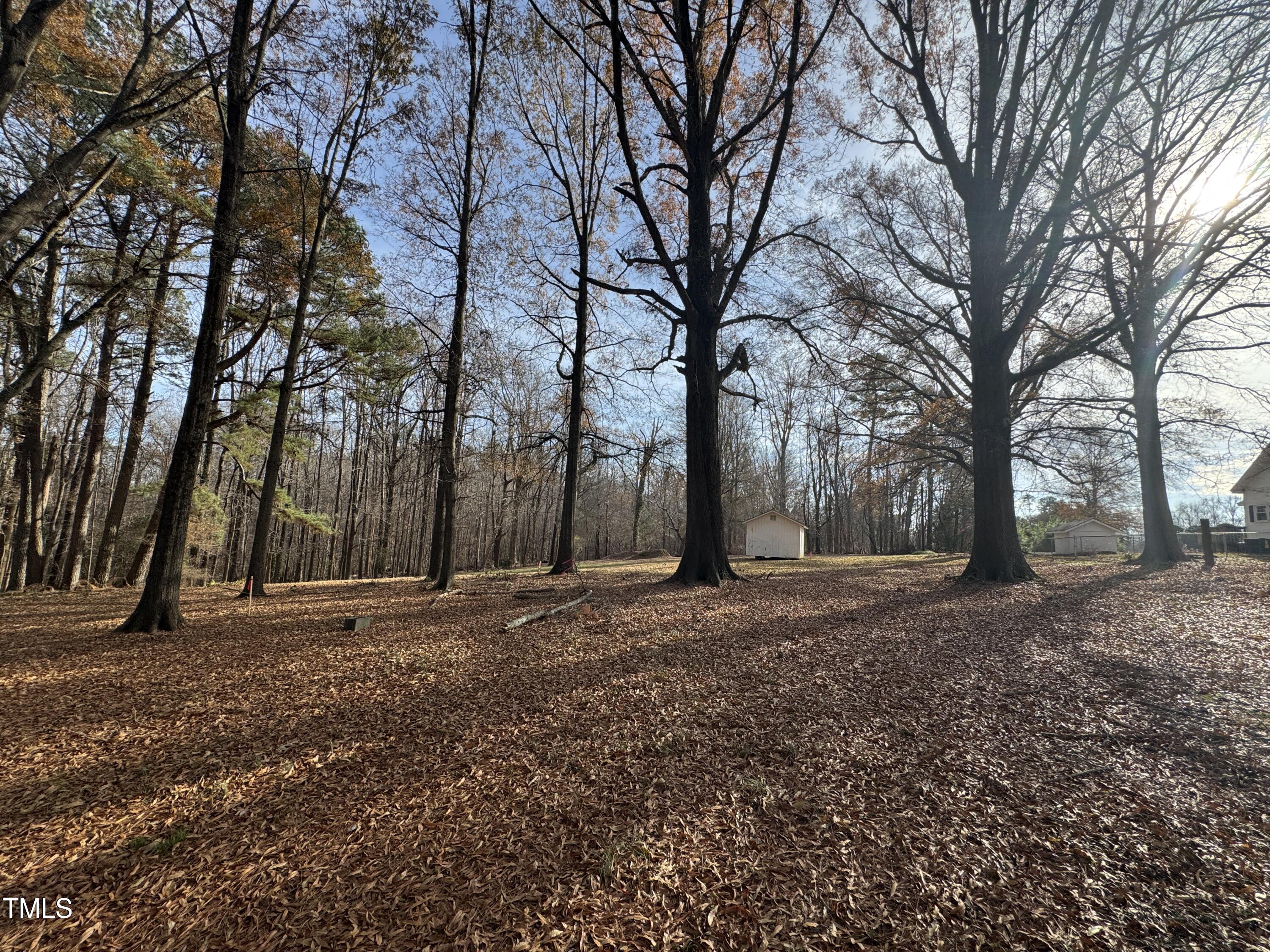 8012 Penny Road Raleigh, NC 27606 - Photo 8 of 11 a big yard with lots of green space and trees