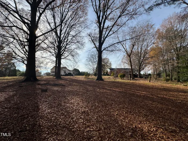 a view of dirt yard with a large tree