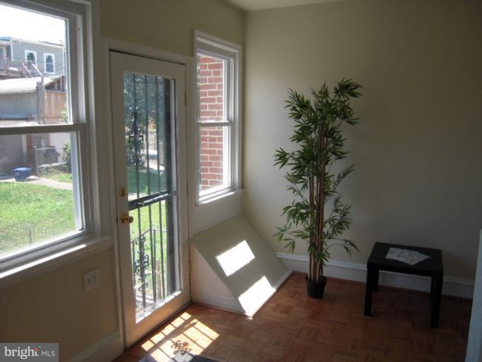 1346 Spring Road Northwest Washington, DC 20010 - Photo 5 of 30 a vase of flowers sitting on a floor in front of a window