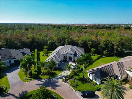 a view of a garden with plants and large trees