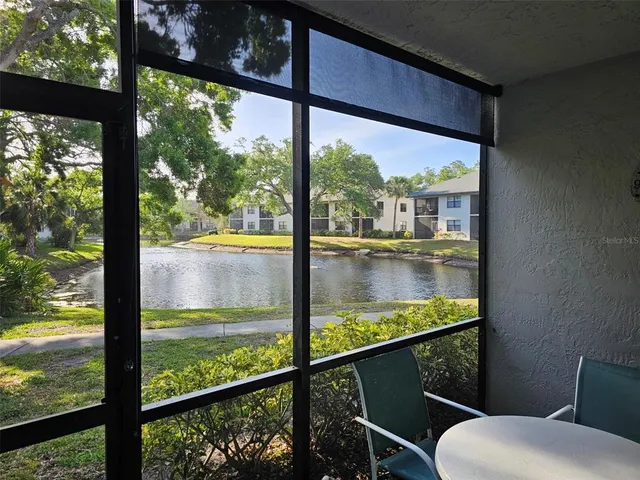 a view of a backyard with tree s
