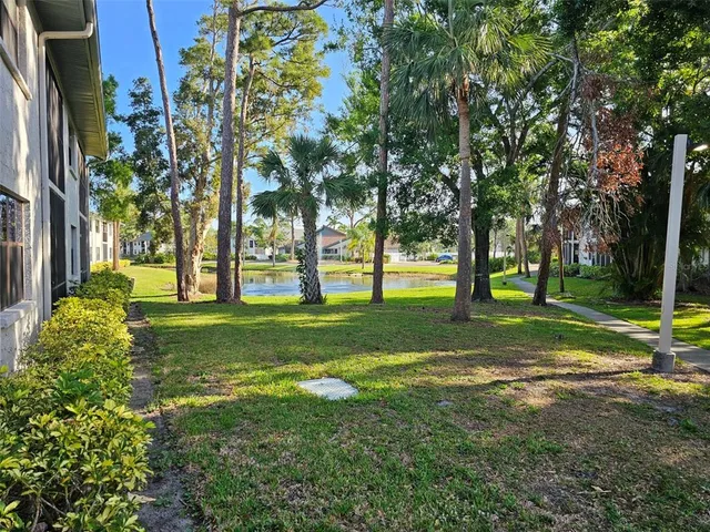 a view of swimming pool and trees in the background