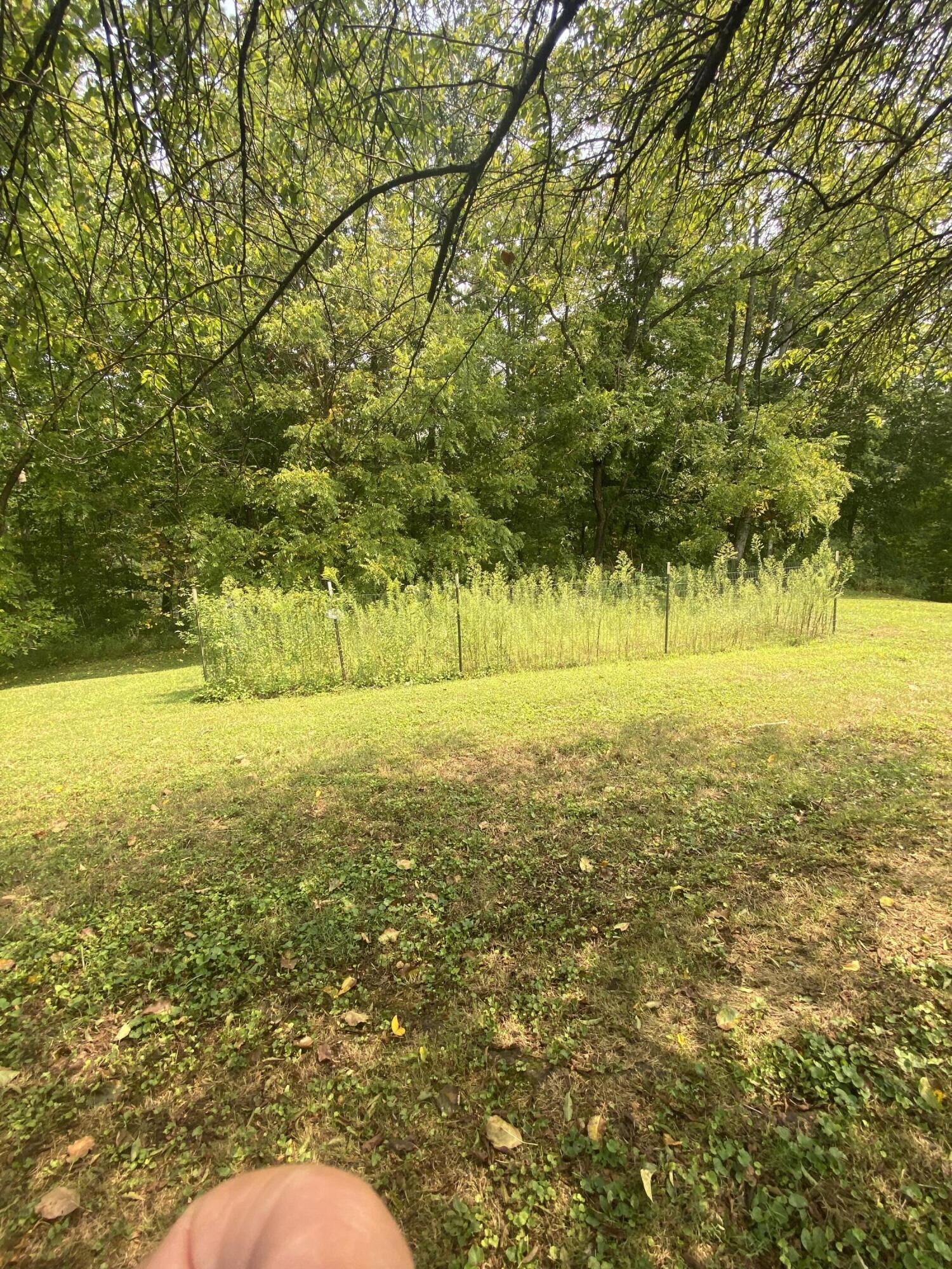 243 Bridge Fork Road Whitley City, KY 42653 - Photo 15 of 40 IMG_2871