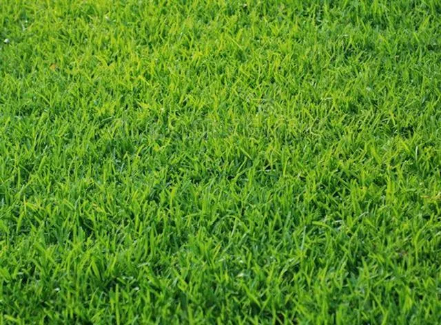 $109,900 | 5125 Sydnie Road Northwest, Rochester, MN 55901