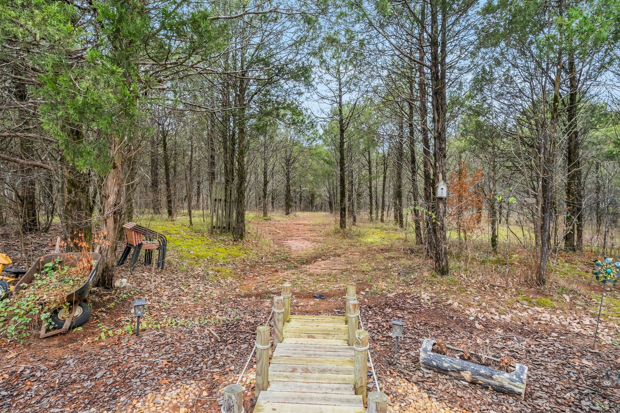 10955 Old Lebanon Road Murfreesboro, TN 37129 - Photo 76 of 100 a backyard of a house with lots of green space
