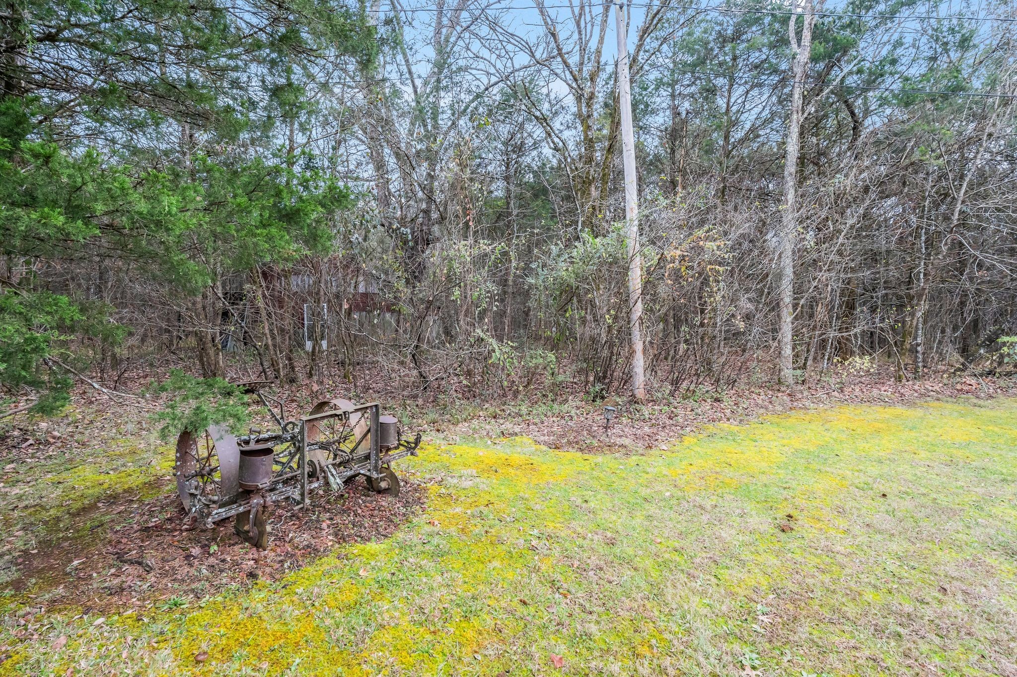 10955 Old Lebanon Road Murfreesboro, TN 37129 - Photo 8 of 100 a view of swimming pool with lawn chairs and large trees