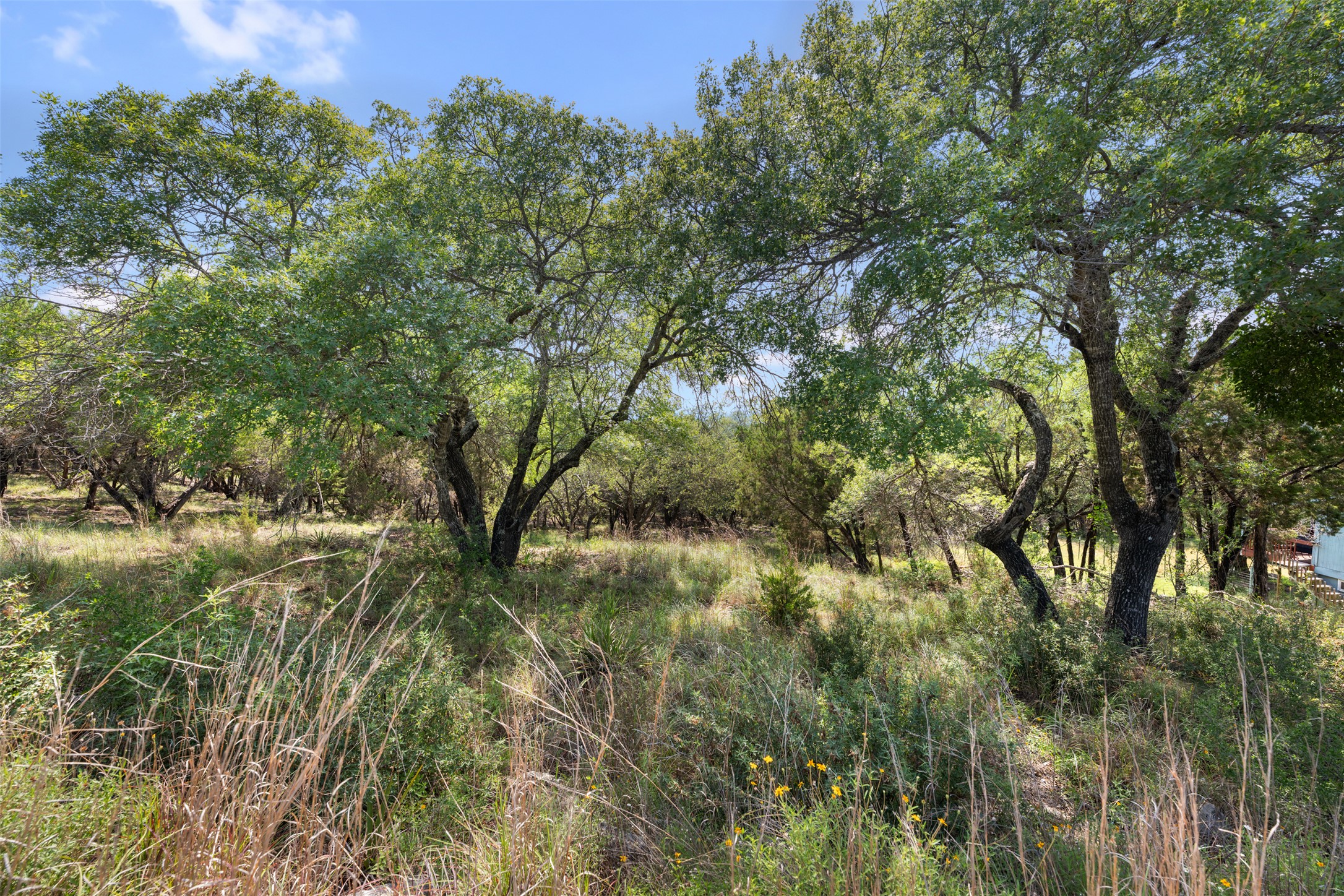 21105 Ridgeview Road Lago Vista, TX 78645 - Photo 33 of 34 A tranquil, tree-filled landscape offers a peaceful retreat with natural beauty.