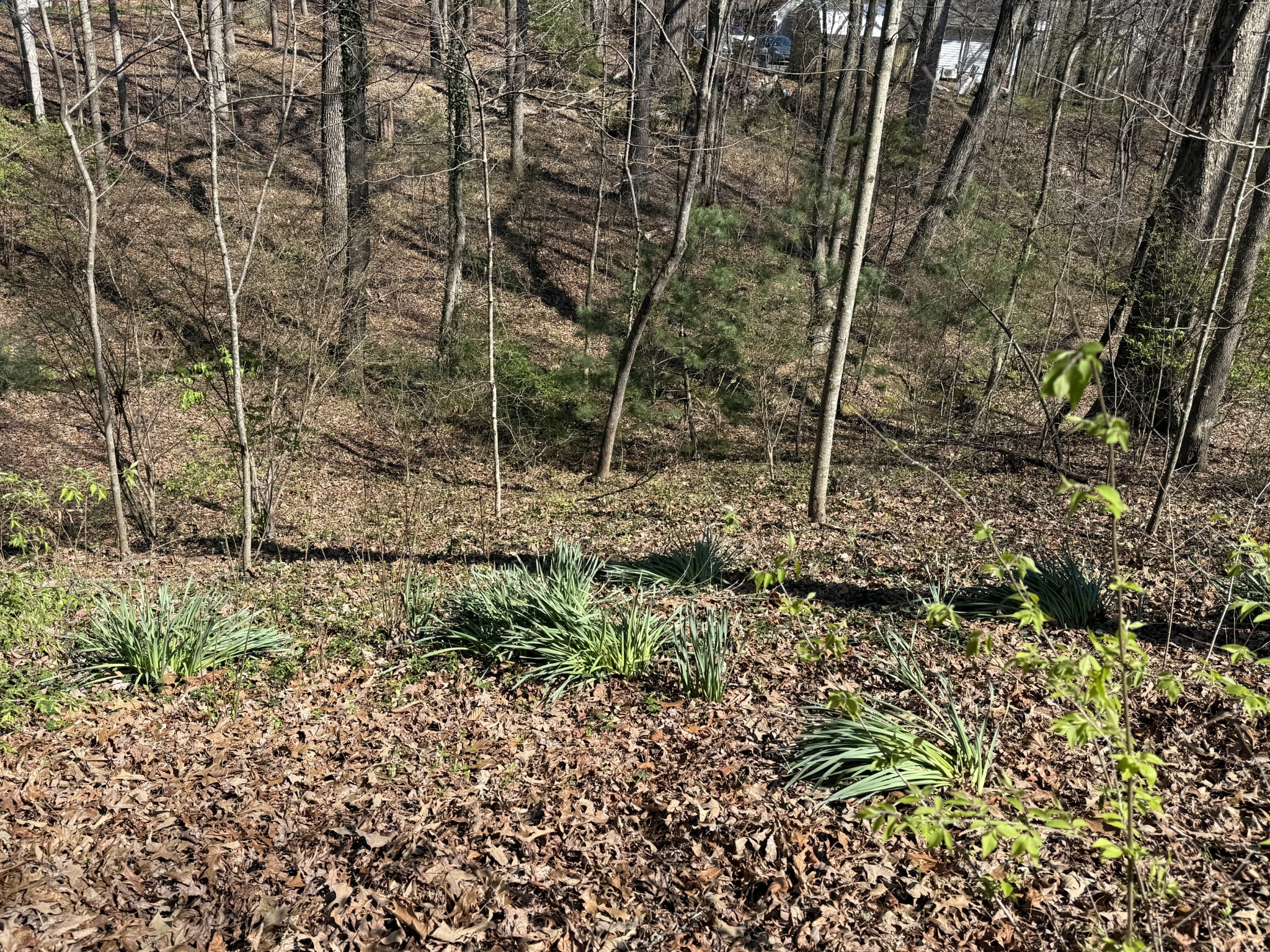 762 Spring Valley Road Cookeville, TN 38501 - Photo 12 of 31