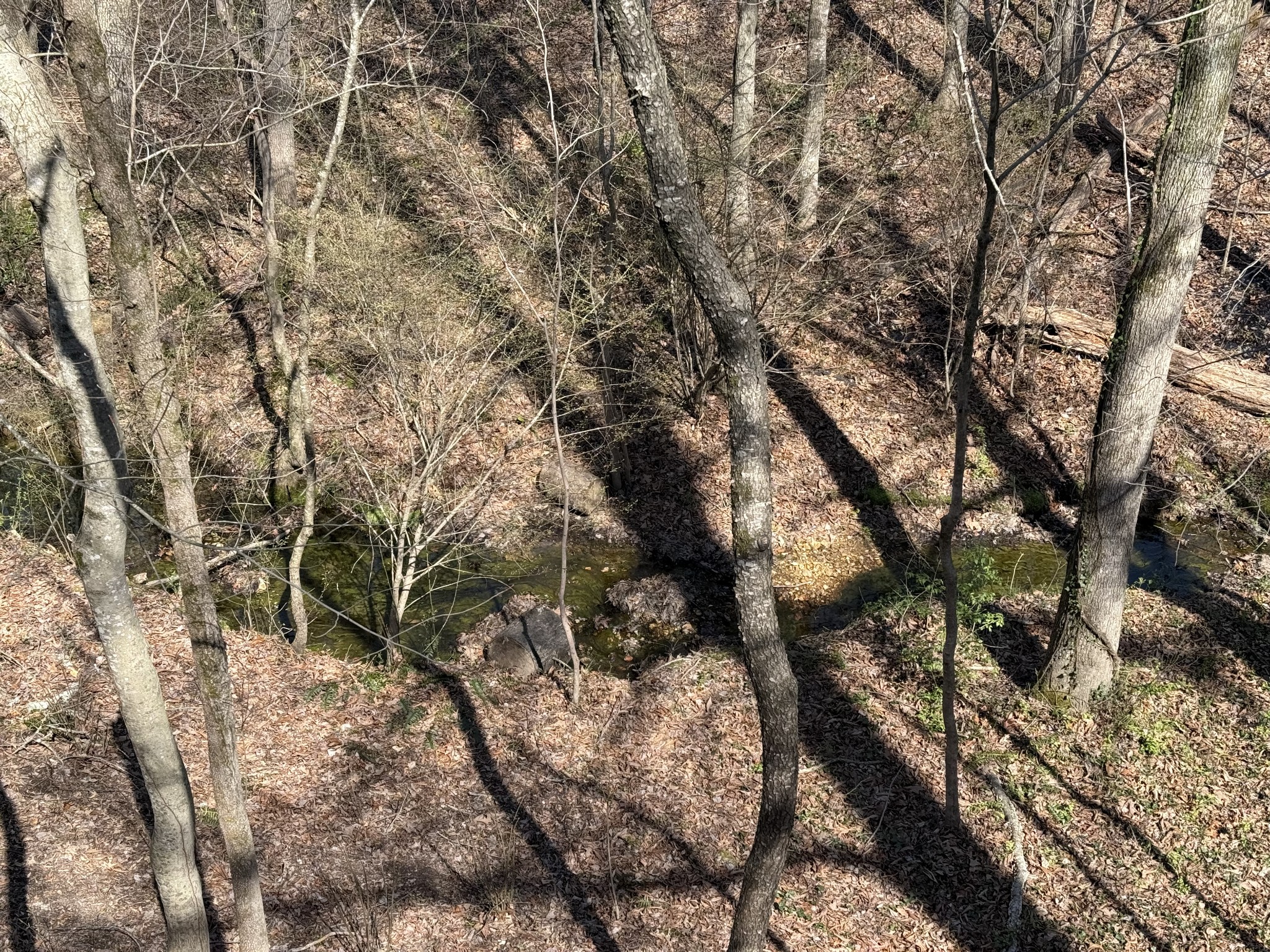 762 Spring Valley Road Cookeville, TN 38501 - Photo 20 of 31