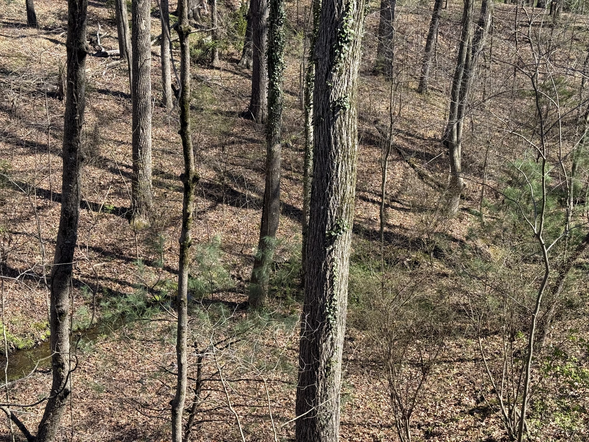 762 Spring Valley Road Cookeville, TN 38501 - Photo 29 of 31