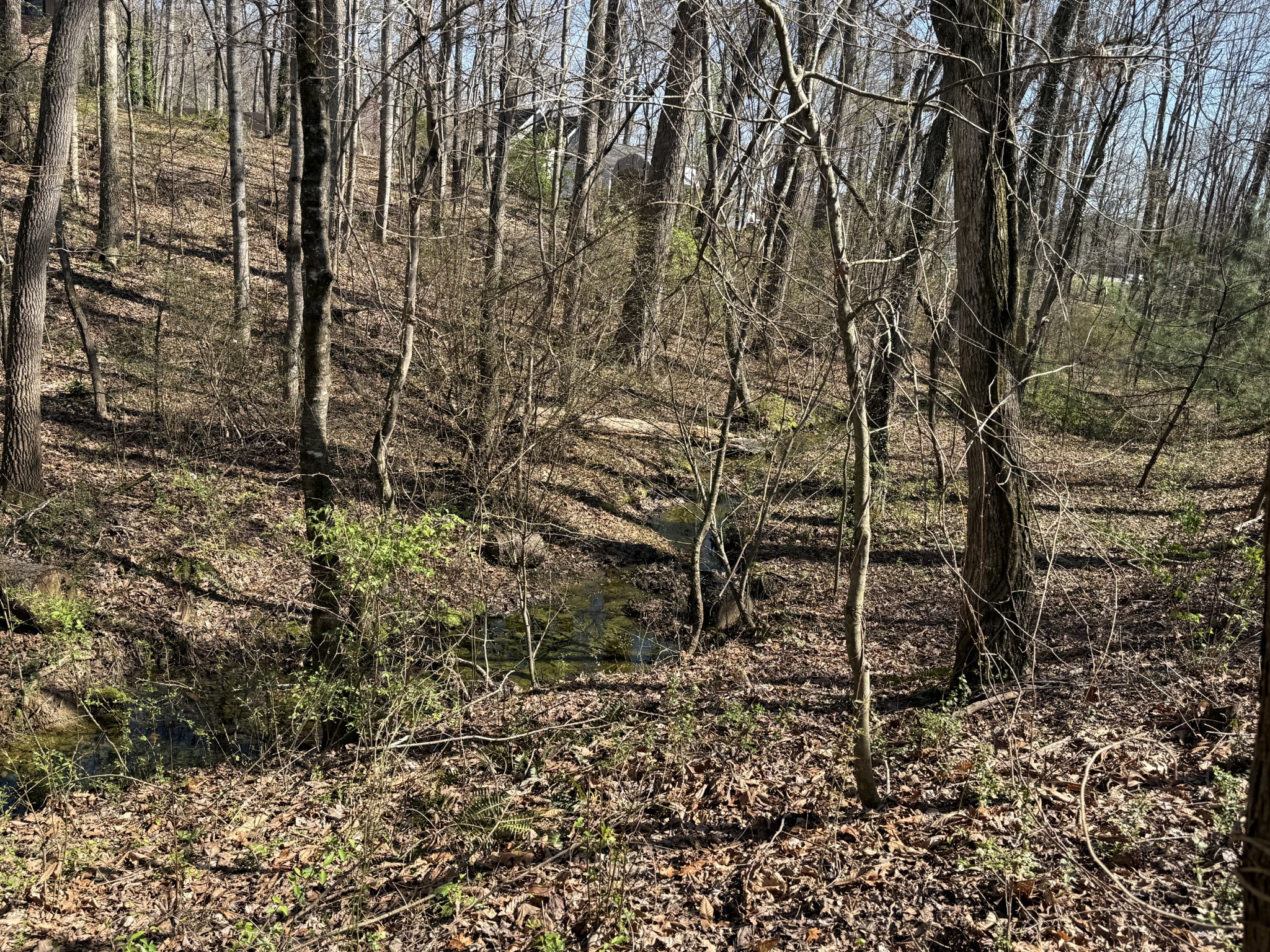 762 Spring Valley Road Cookeville, TN 38501 - Photo 6 of 31