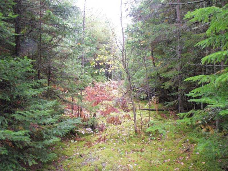 Lot 9 Lower Drew Road Kingman, ME 04451 - Photo 5 of 8 Land/Lot.