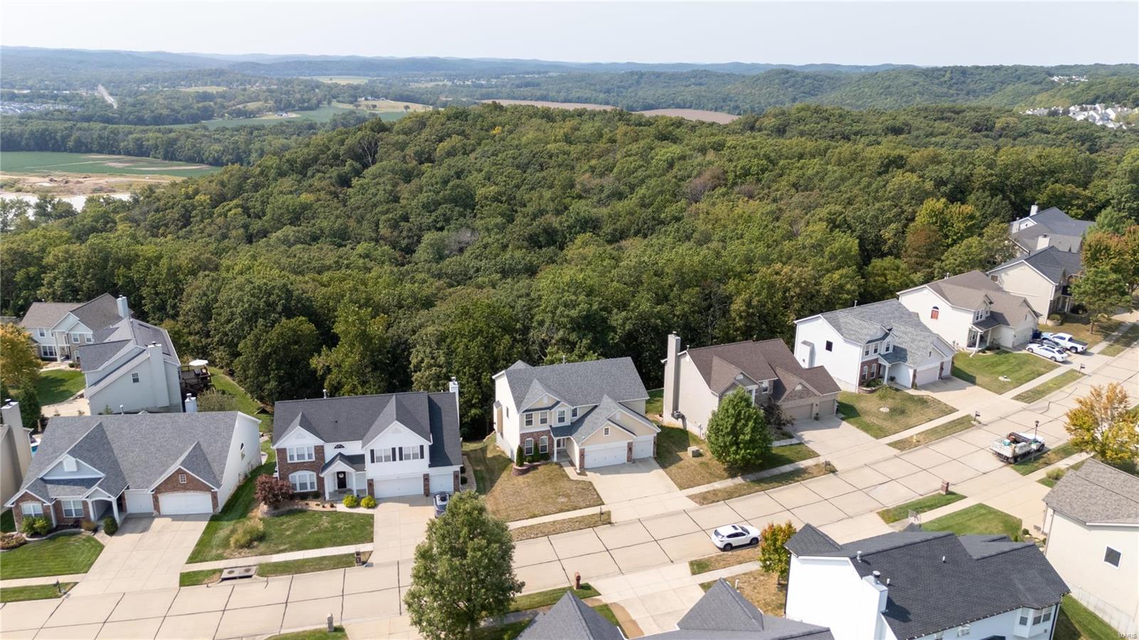 329 Palisades Ridge Court Eureka, MO 63025 - Photo 26 of 27