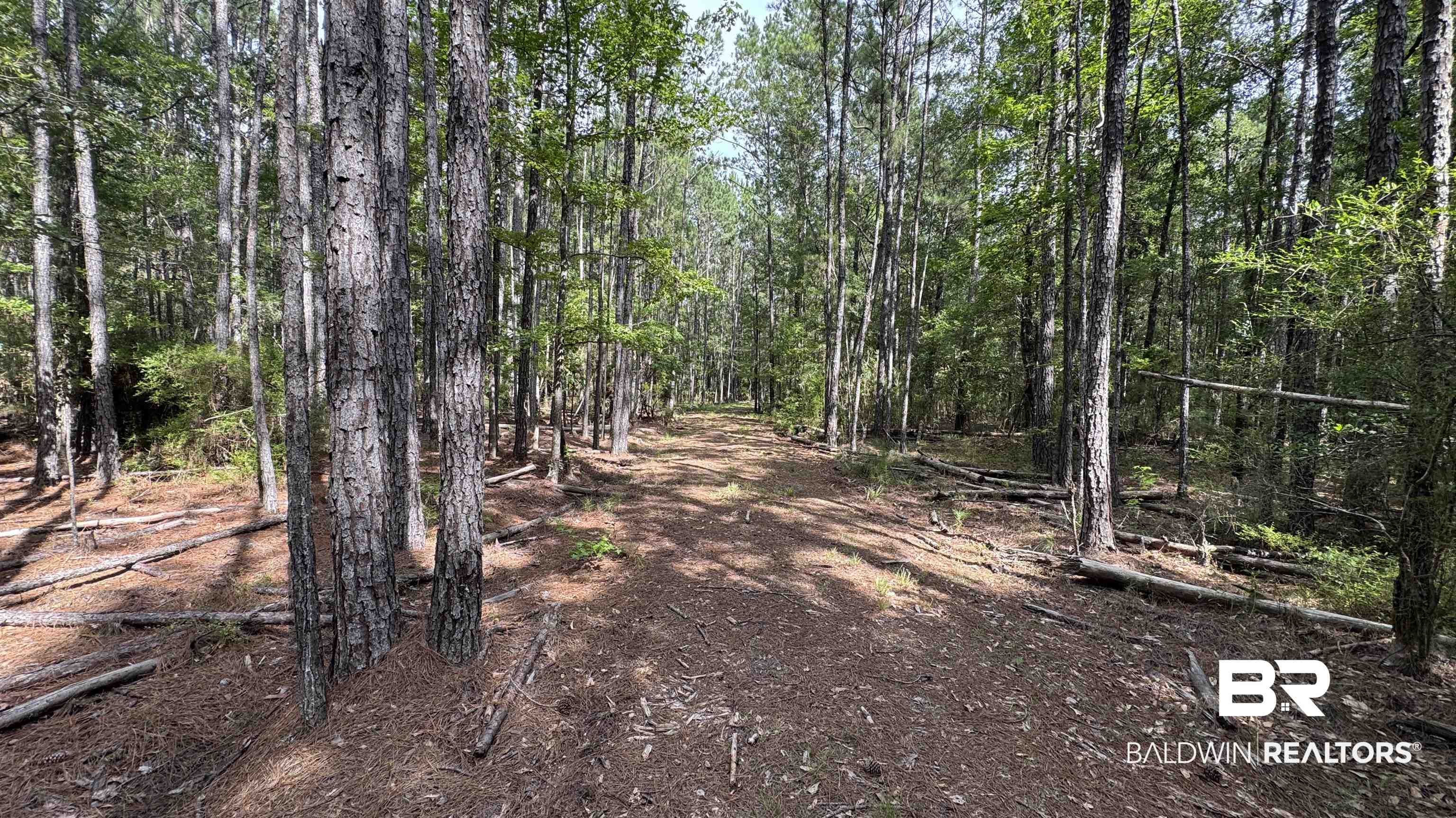 66409 James Road Stockton, AL 36579 - Photo 17 of 35