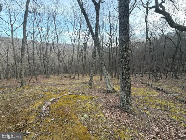 $89,900 | Lot 5 Preserve Road, New Creek, WV 26743