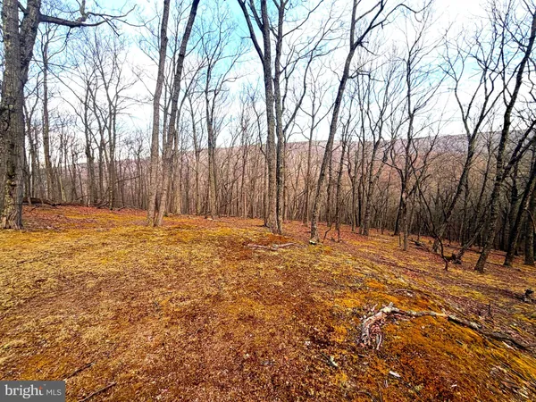 $75,000 | Lot 5 Preserve Road, New Creek, WV 26743
