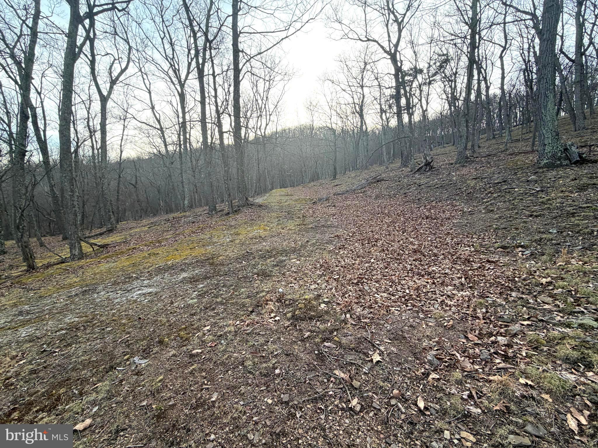 Lot 5 Preserve Road New Creek, WV 26743 - Photo 11 of 12 a backyard of a house with lots of green space