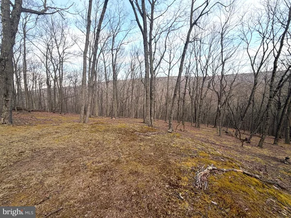 $89,900 | Lot 5 Preserve Road, New Creek, WV 26743