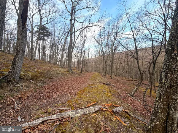 $89,900 | Lot 5 Preserve Road, New Creek, WV 26743
