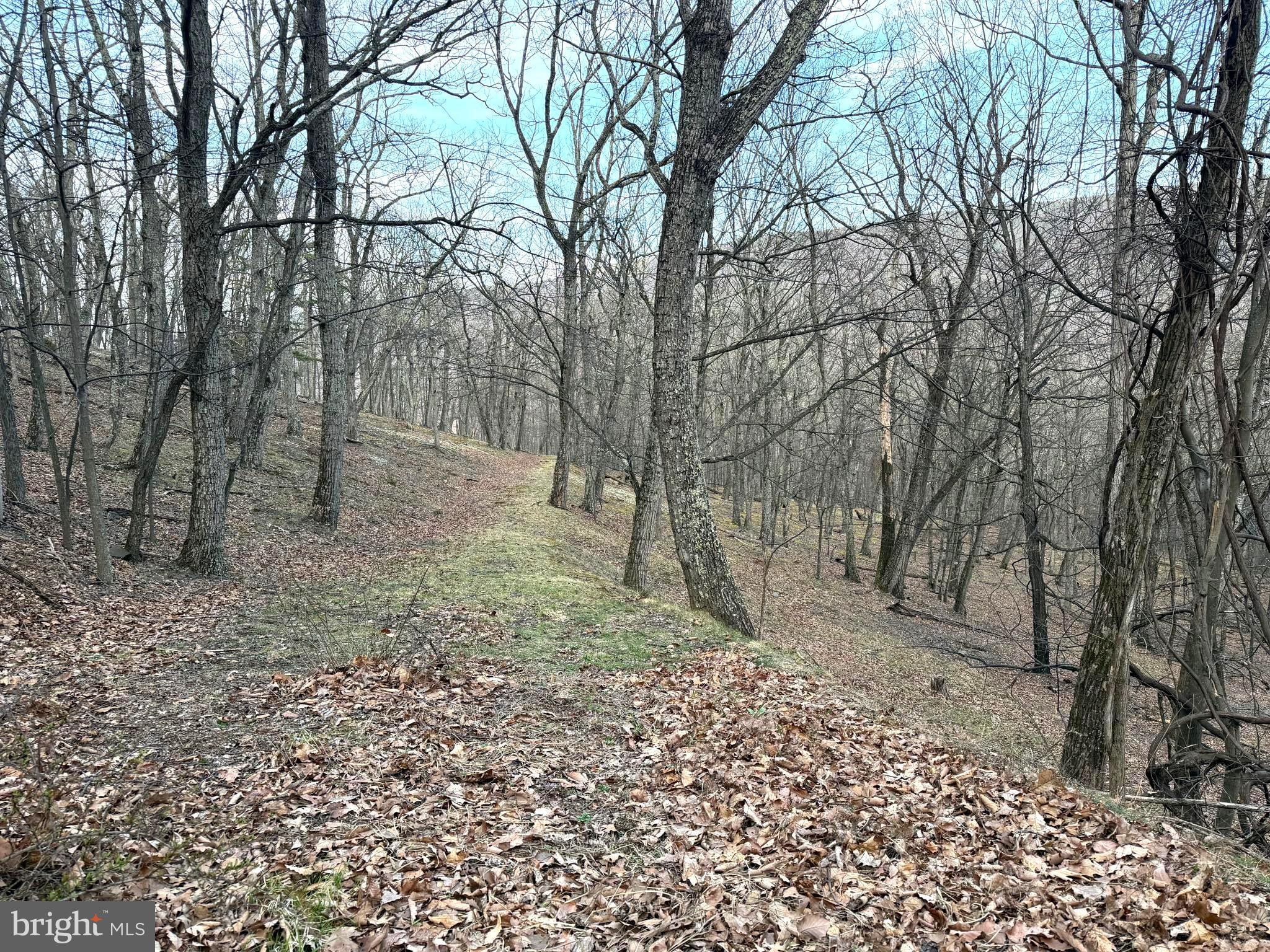 Lot 5 Preserve Road New Creek, WV 26743 - Photo 5 of 12 a backyard of a house with lots of green space