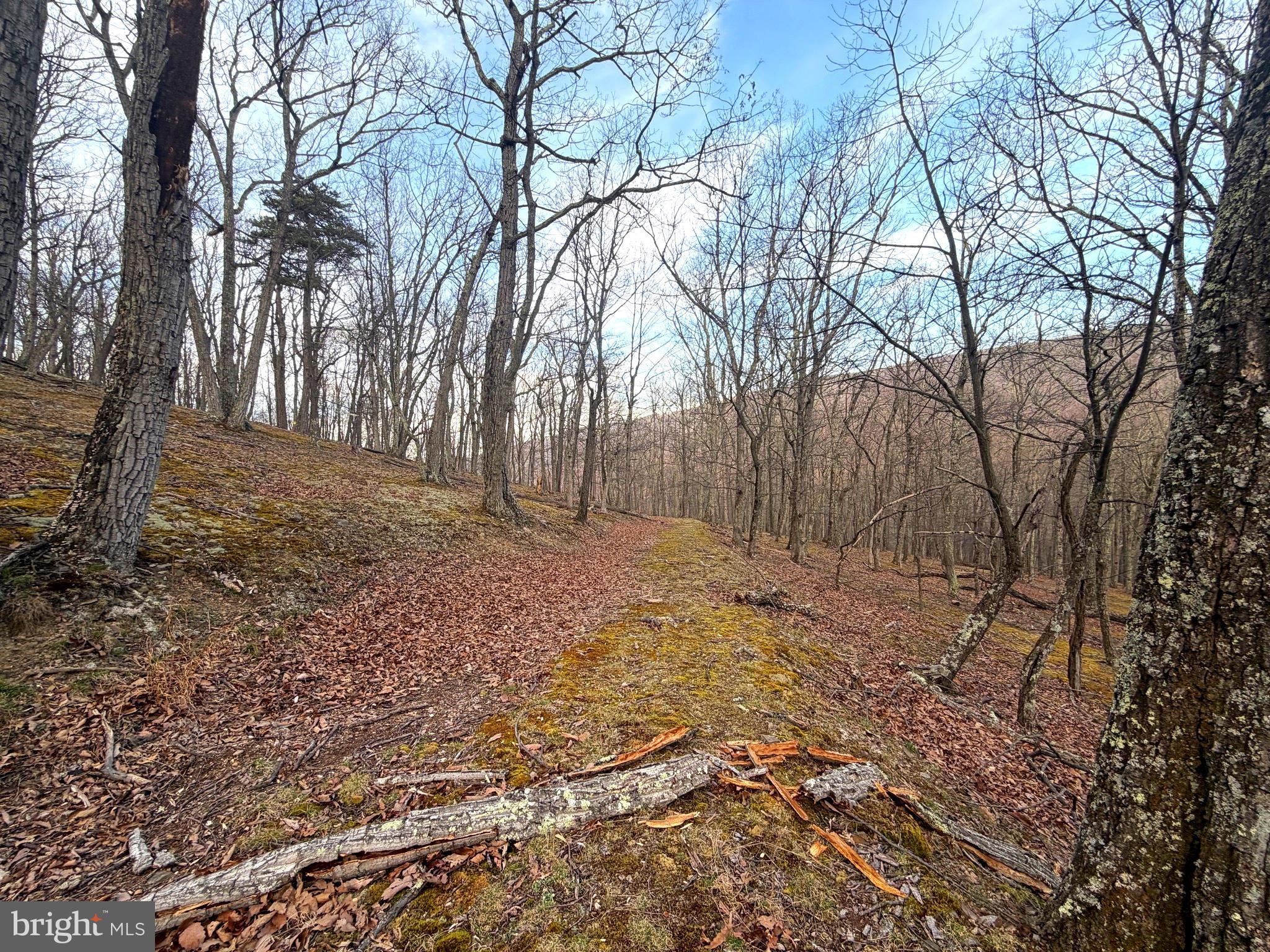 Lot 5 Preserve Road New Creek, WV 26743 - Photo 7 of 12 a backyard of a house with lots of green space