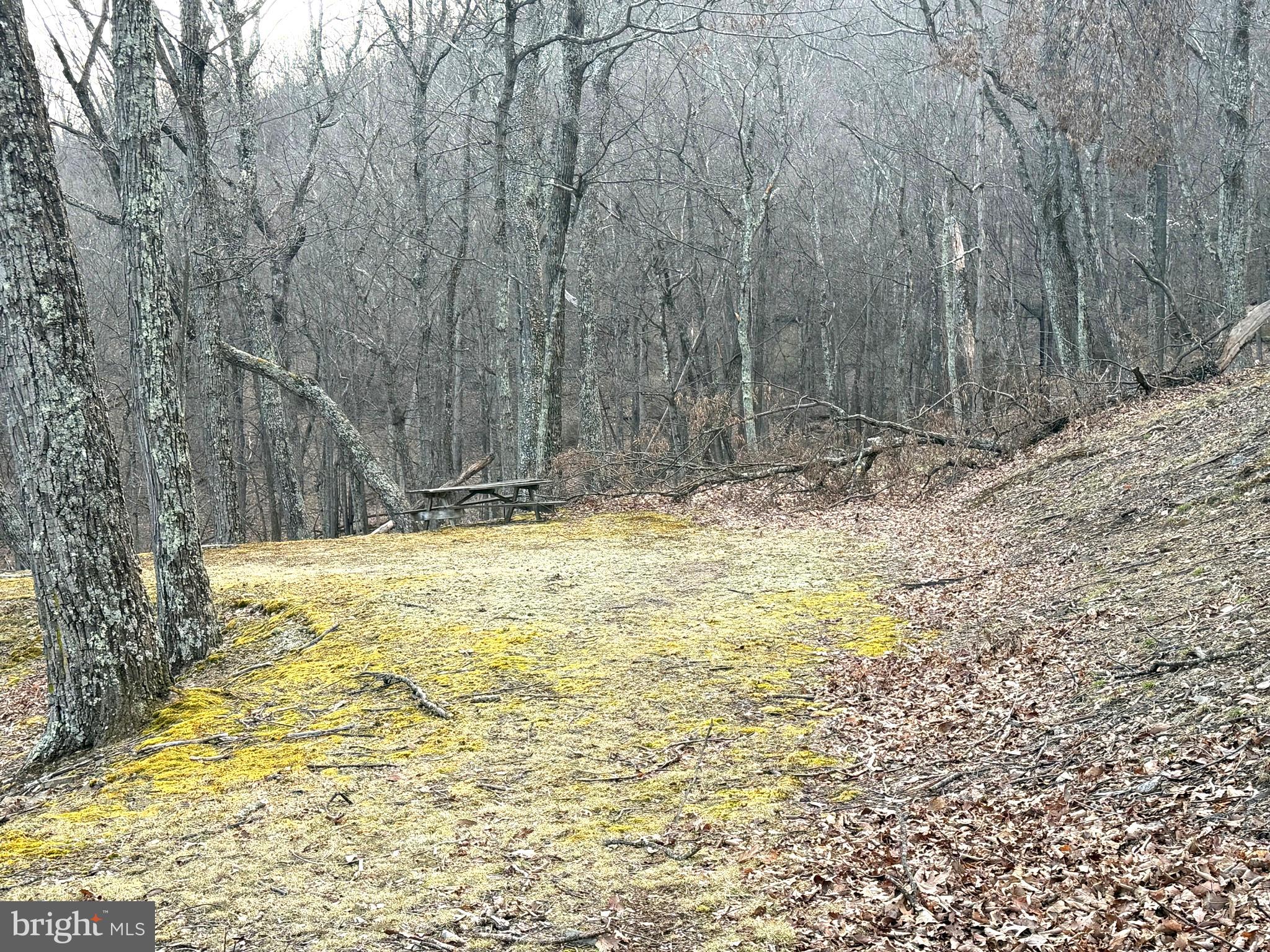 Lot 5 Preserve Road New Creek, WV 26743 - Photo 7 of 13