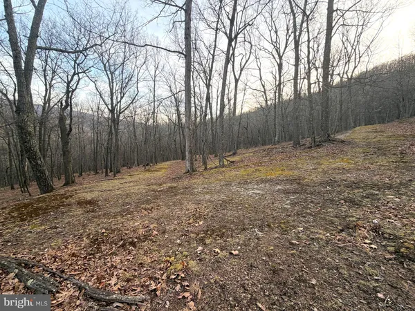 $89,900 | Lot 5 Preserve Road, New Creek, WV 26743