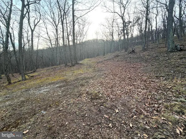 $89,900 | Lot 5 Preserve Road, New Creek, WV 26743