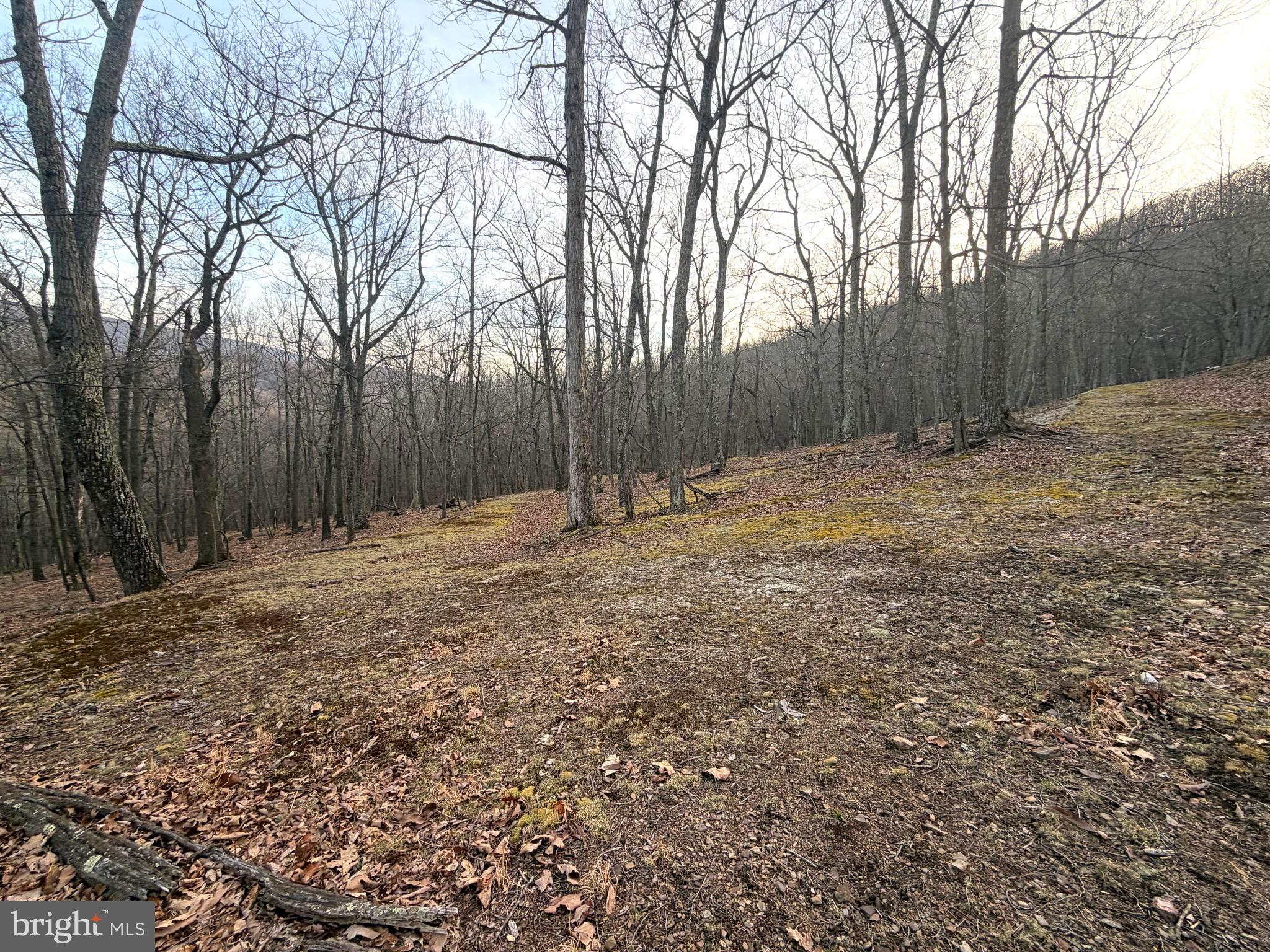 Lot 5 Preserve Road New Creek, WV 26743 - Photo 10 of 12 a backyard of a house