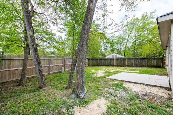 a view of backyard with wooden fence and a large tree