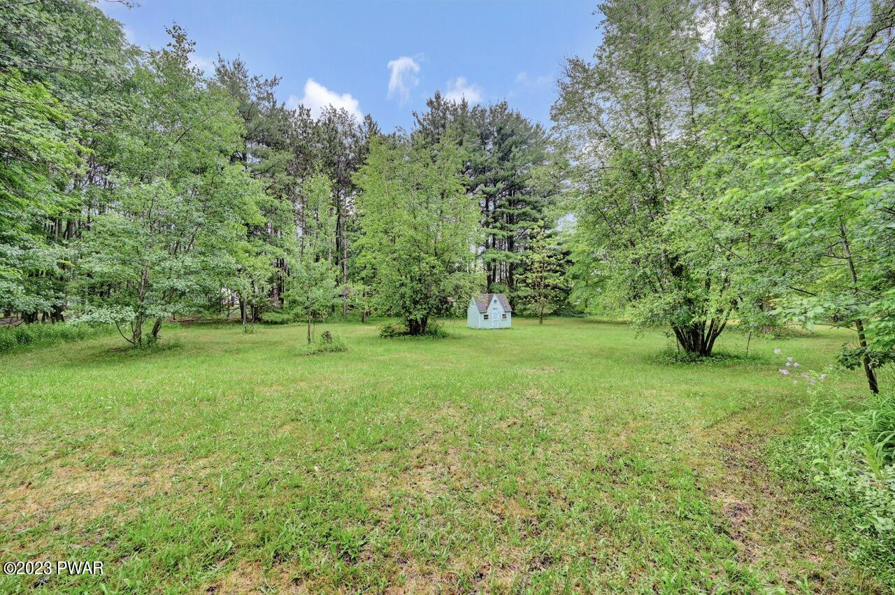 20 Wash Road Waymart, PA 18472 - Photo 43 of 49 a view of a grassy field with trees