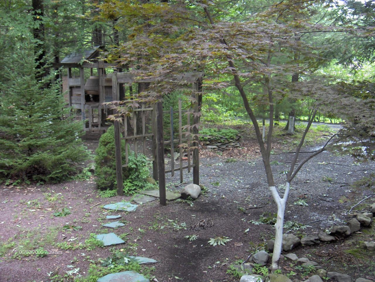 1342 Kroucher Road Stroudsburg, PA 18360 - Photo 7 of 8 a view of a forest with large trees