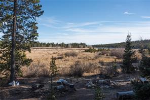 3608 Co Road Fairplay, CO 80440 - Photo 3 of 25 Gallery Image 3