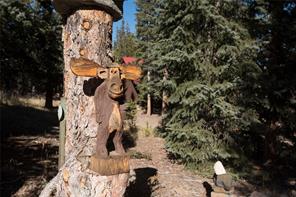 3608 Co Road Fairplay, CO 80440 - Photo 4 of 25 Gallery Image 4