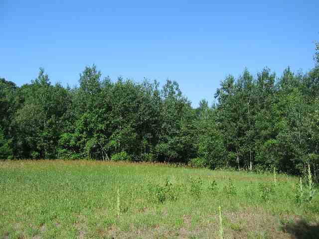0 Elmore Robinson Road Mechanicville, NY 12118 - Photo 1 of 1 Photo 1