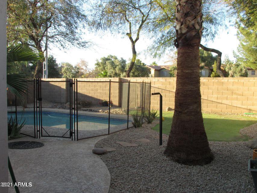 4790 West Tulsa Street Chandler, AZ 85226 - Photo 6 of 30 a view of outdoor space