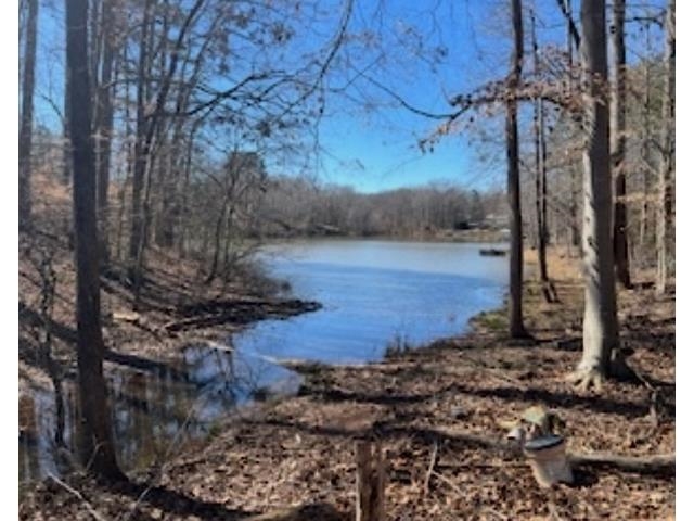 0 Berry Shoals Road Duncan, SC 29334 - Photo 4 of 6