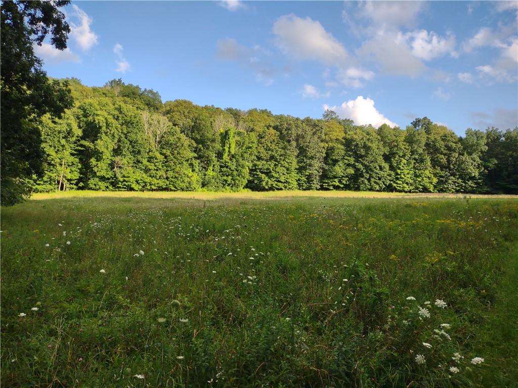264 Bellvale Lakes Road Warwick, NY 10990 - Photo 1 of 1 Back field - all photos copyright JPM