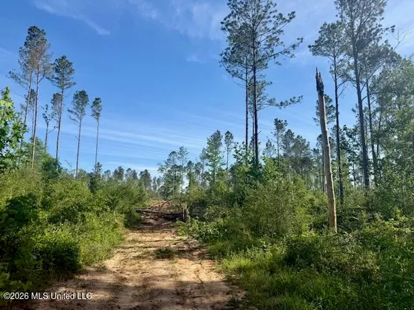 $888,750 | Rutland Road, Jayess, MS 39641
