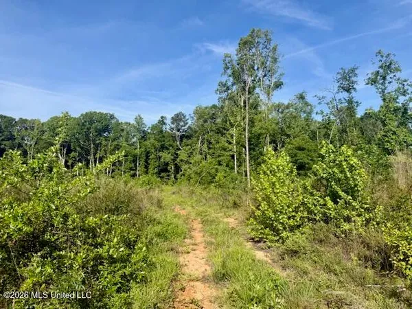 $888,750 | Rutland Road, Jayess, MS 39641