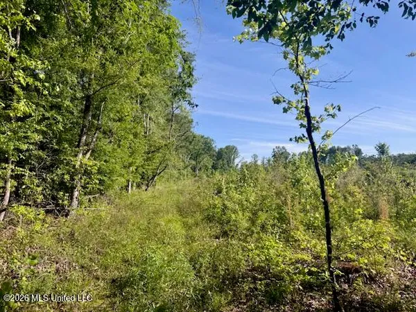 $888,750 | Rutland Road, Jayess, MS 39641