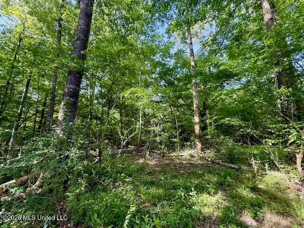 $888,750 | Rutland Road, Jayess, MS 39641