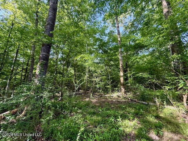 Rutland Road Jayess, MS 39641 - Photo 13 of 76 IMG_8276