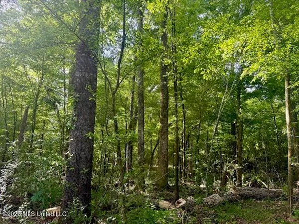 $888,750 | Rutland Road, Jayess, MS 39641