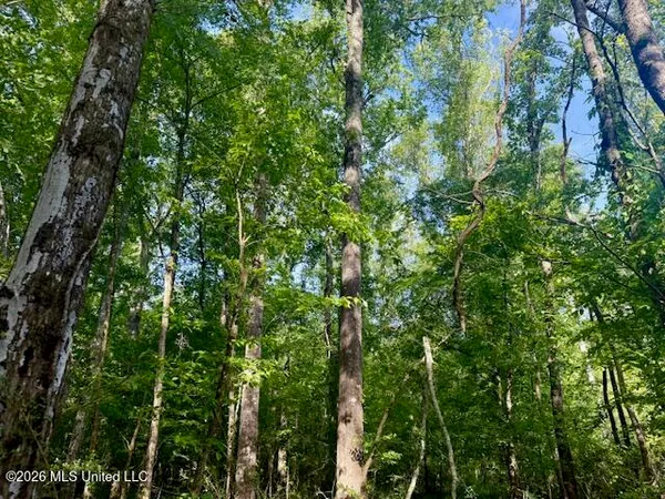 $888,750 | Rutland Road, Jayess, MS 39641