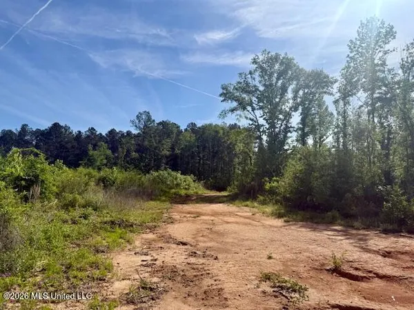 $888,750 | Rutland Road, Jayess, MS 39641