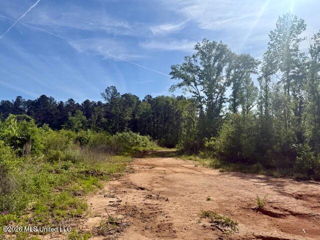 Rutland Road Jayess, MS 39641 - Photo 16 of 76 IMG_8279
