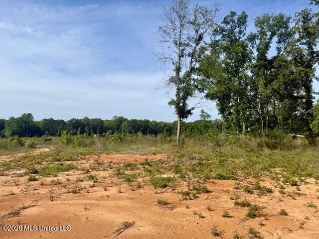 Rutland Road Jayess, MS 39641 - Photo 17 of 76 IMG_8280