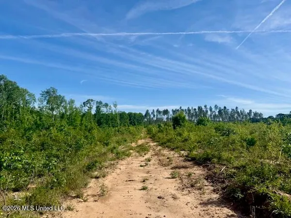 $888,750 | Rutland Road, Jayess, MS 39641